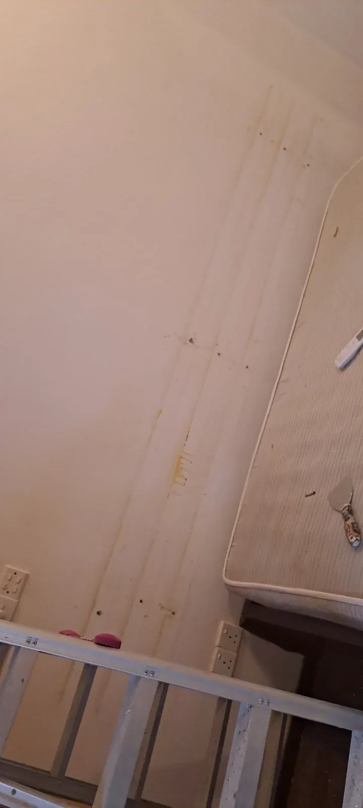 Guest house renovation