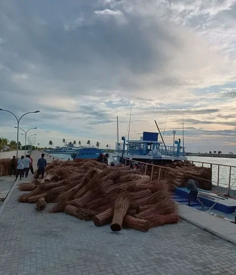 Supply of cadjan roof thatch — Grand Park Kodhipparu, 2022